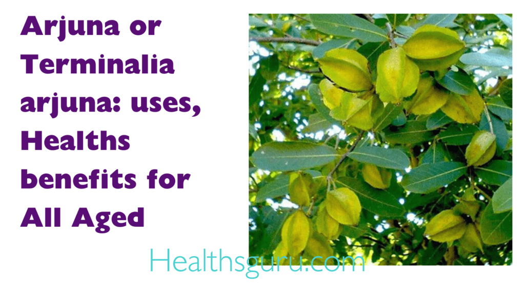 Arjuna or Terminalia arjuna uses