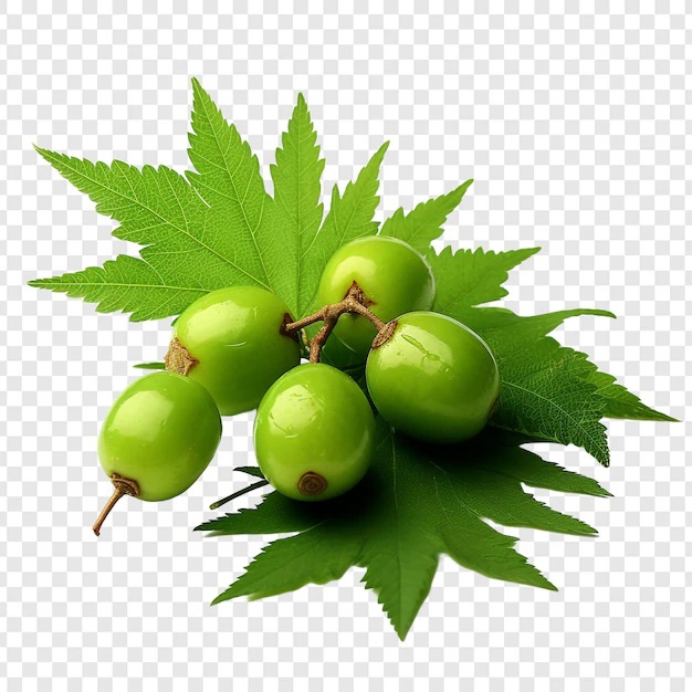 neem