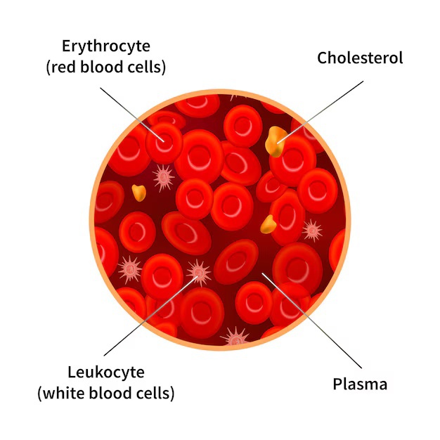 Plasma