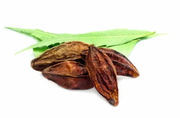 Terminalia bellirica
